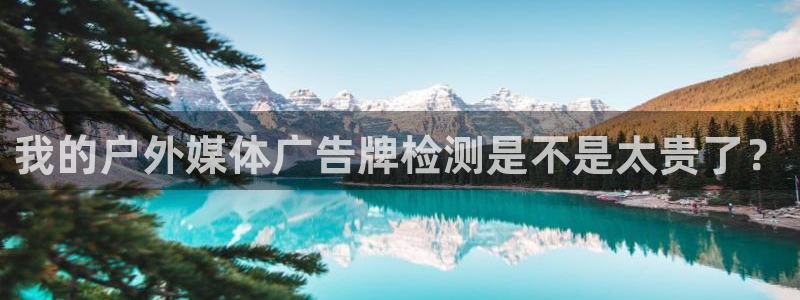 杏宇平台代理怎么赚钱的