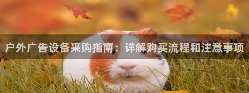 杏宇平台提现为什么这么久呢