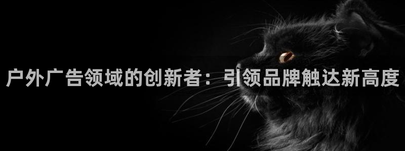 杏宇平台是什么