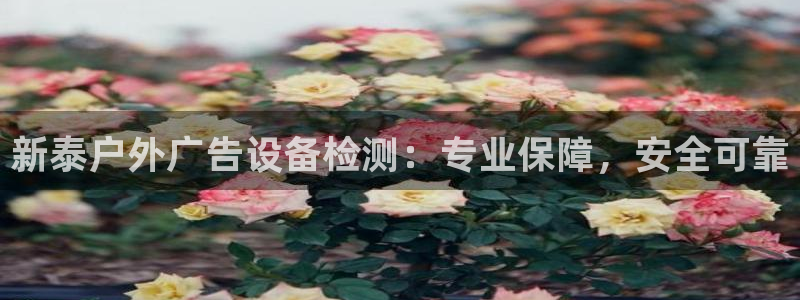 杏宇平台怎么样知乎