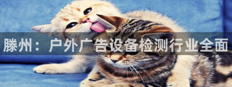 杏宇平台代理怎么样啊