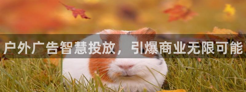 杏宇平台怎么样赚钱