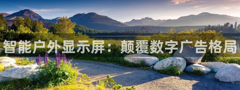 杏宇平台官网注册