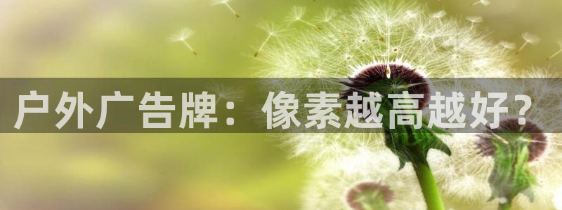 杏宇平台怎么样知乎