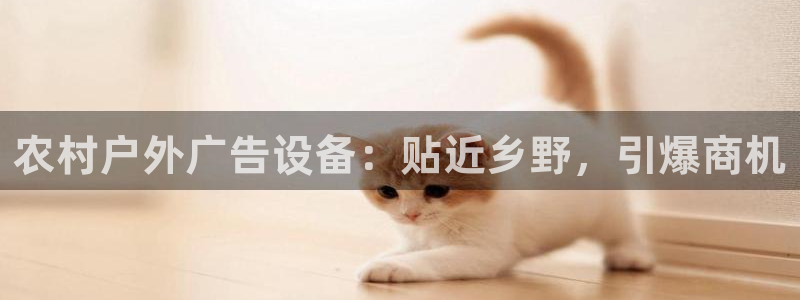杏宇平台是什么