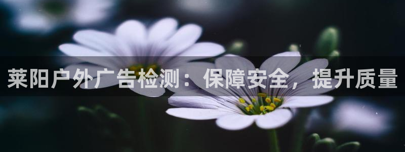 杏宇平台招商电话号码