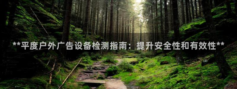 杏宇平台提现为什么这么久呢：**平度户外广告设备检测指南：提升安全性和有效性**