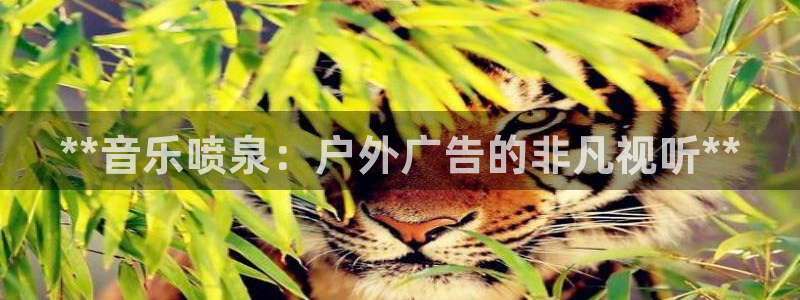 杏宇平台代理多少钱：**音乐喷泉：户外广告的非凡视听**