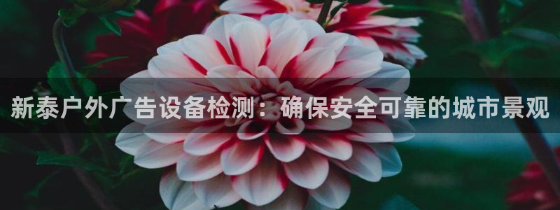 杏宇平台总代理