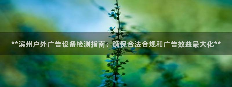 杏宇官方平台官网下载：**滨州户外广告设备检测指南：确保合法合规和广告效益最大化**