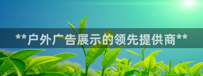 杏宇平台代理怎么样啊：**户外广告展示的领先提供商**