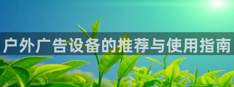杏宇平台主管