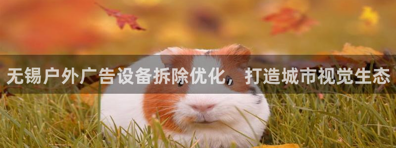 杏宇平台注册地址：无锡户外广告设备拆除优化，打造城市视觉生态