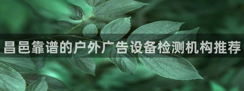 杏宇平台代理怎么样可靠吗