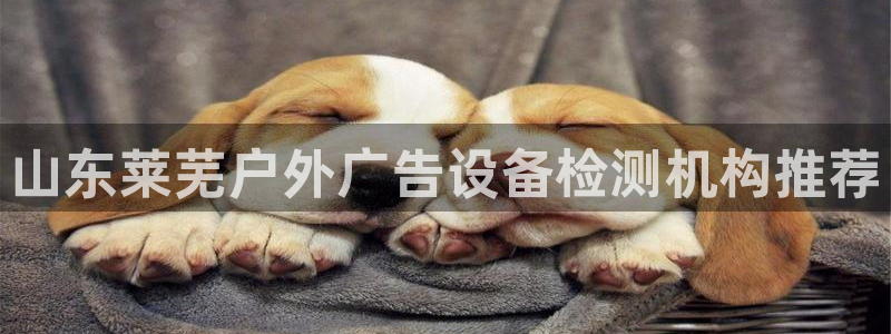 杏宇平台登录方法