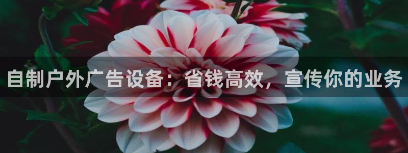 杏宇平台是什么