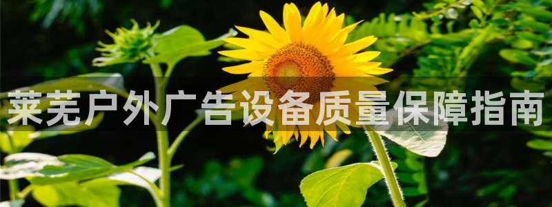杏宇平台代理怎么样可靠吗