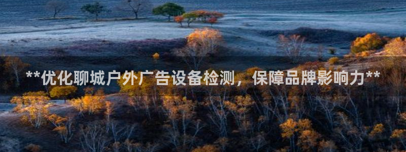 杏宇平台怎么样赚钱