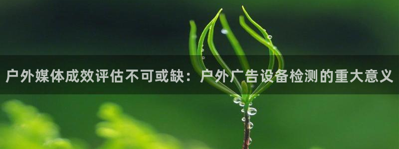 杏宇平台注册地址