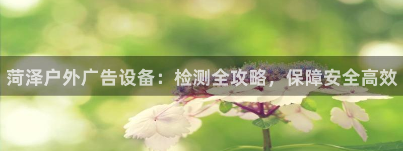 杏宇平台官网注册