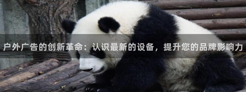 杏宇平台怎么样知乎