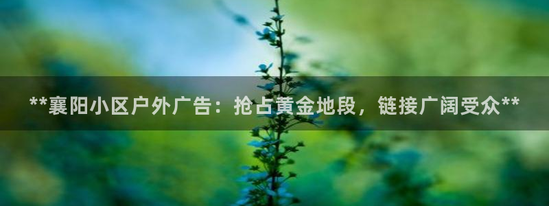 杏宇平台官网注册：**襄阳小区户外广告：抢占黄金地段，链接广阔受众**