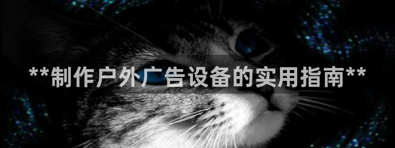 杏宇代理注册