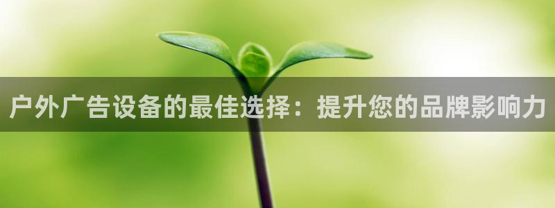 杏宇官方平台官网