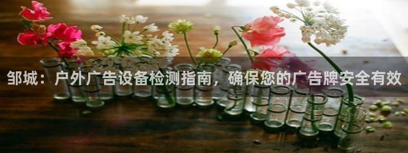 杏宇平台代理多少钱：邹城：户外广告设备检测指南，确保您的广告牌安全有效