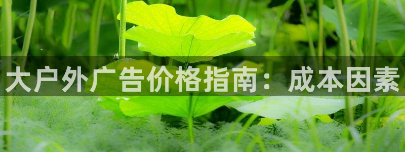 杏宇平台代理怎么赚钱