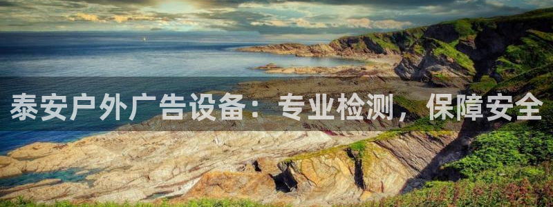 杏宇平台是什么