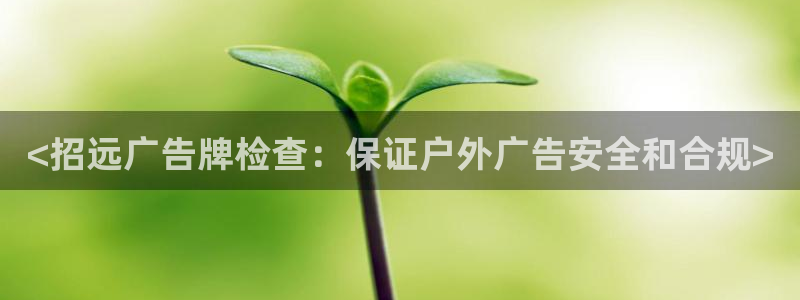 杏宇平台代理