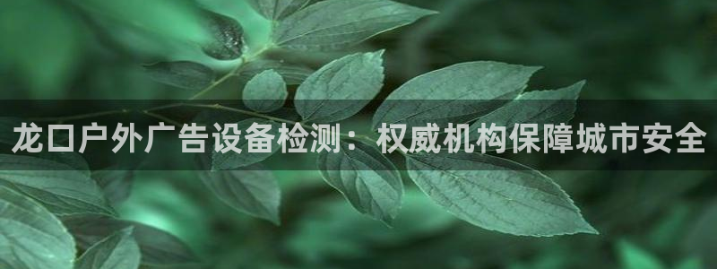 杏宇平台代理多少钱一个