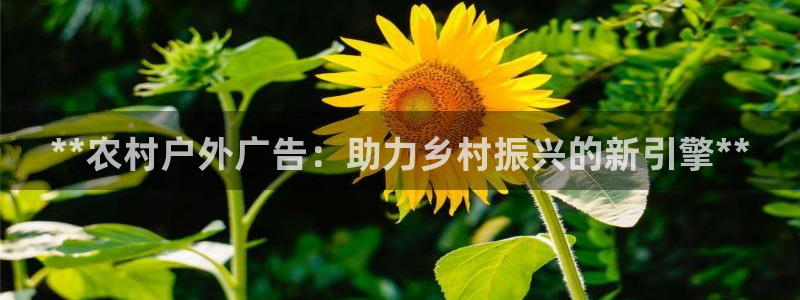 杏宇平台主管