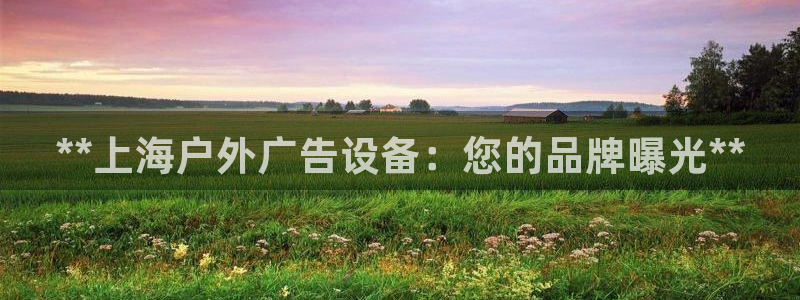 杏宇平台招商电话号码：**上海户外广告设备：您的品牌曝光**