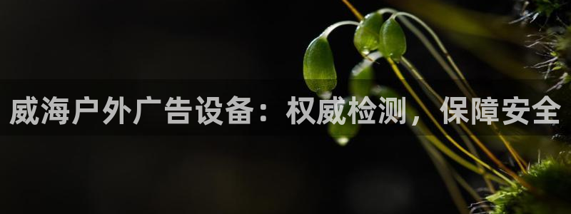 杏宇平台测速链接