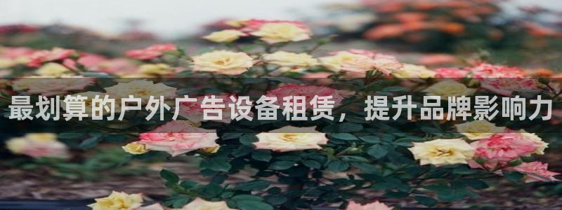 杏宇平台代理怎么赚钱的