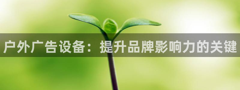 杏宇平台代理怎么样