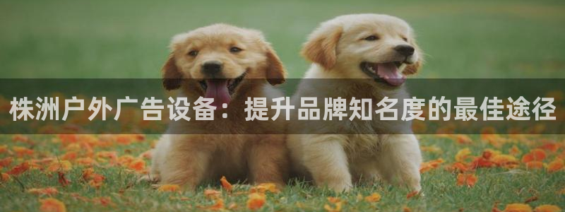 杏宇平台代理多少钱：株洲户外广告设备：提升品牌知名度的最佳途径