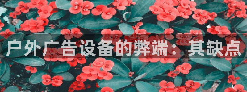 杏宇平台怎么样知乎
