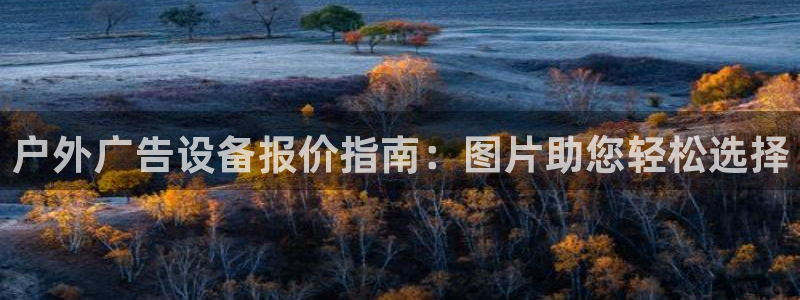 杏宇平台登录步骤图