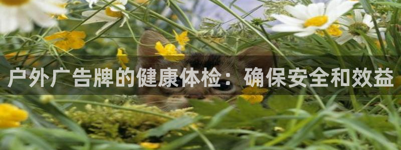 杏宇平台登录步骤