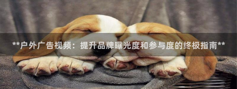 杏宇平台代理怎么赚钱：**户外广告视频：提升品牌曝光度和参与度的终极指南**