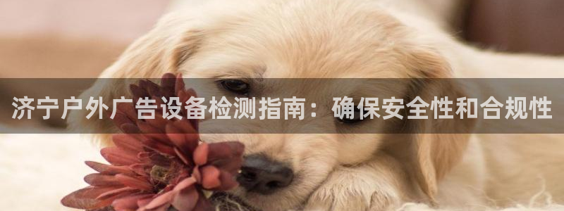 杏宇平台招商：济宁户外广告设备检测指南：确保安全性和合规性
