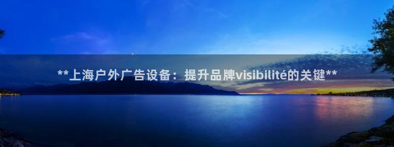 杏宇平台提现为什么这么久呢：**上海户外广告设备：提升品牌visibilité的关键**
