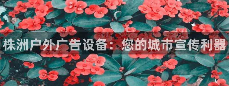 杏宇平台开户：株洲户外广告设备：您的城市宣传利器