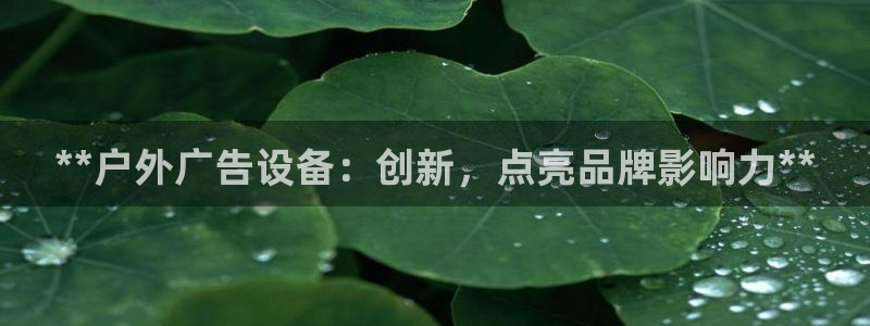 杏宇官方平台官网入口：**户外广告设备：创新，点亮品牌影响力**