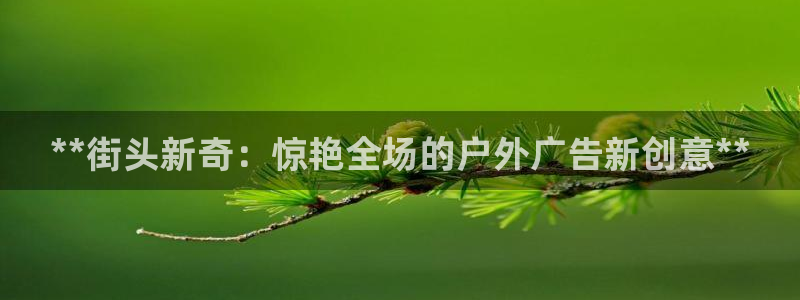 杏宇平台招商
