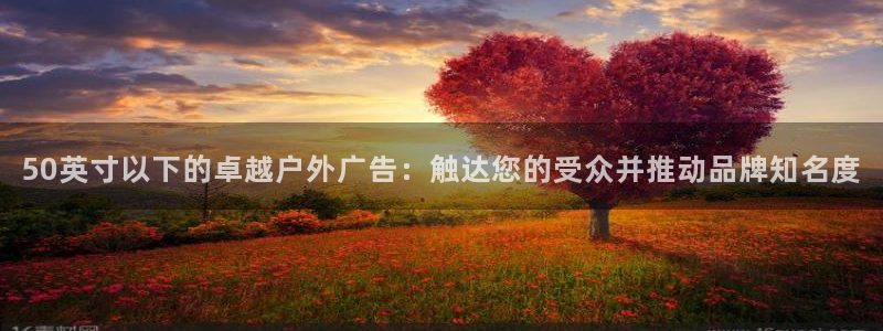 杏宇平台代理多少钱一个月：50英寸以下的卓越户外广告：触达您的受众并推动品牌知名度