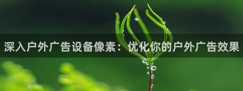 杏宇官方平台官网入口